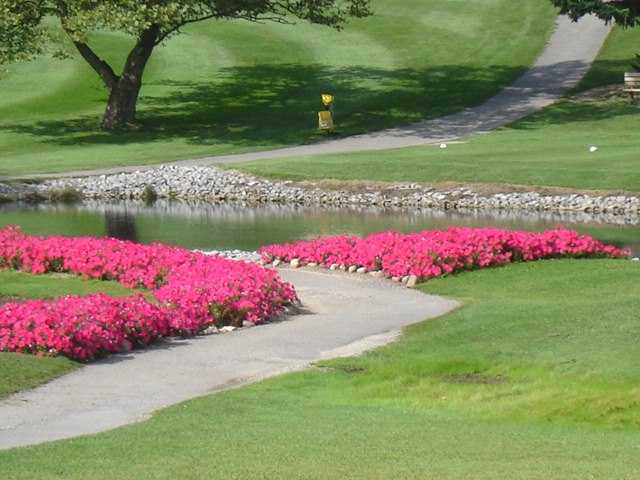Terry Hills Golf Course - photo 3