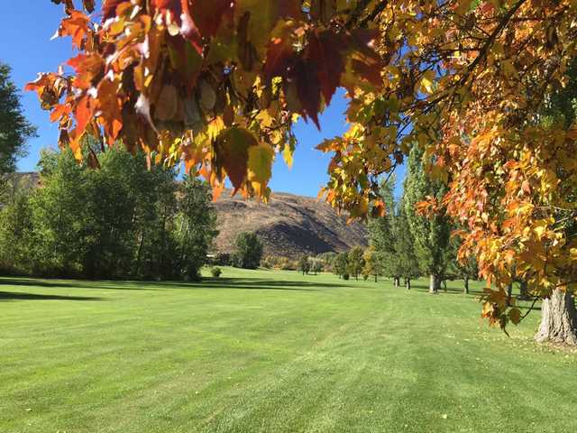 Bear Creek Golf Course - photo 2