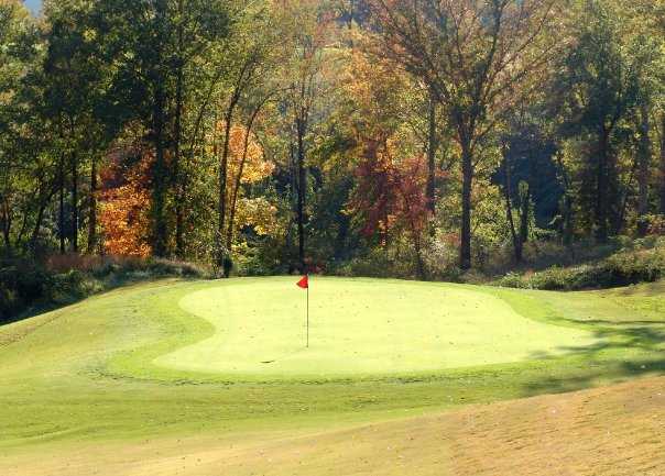Williams Creek Golf Course - photo 7