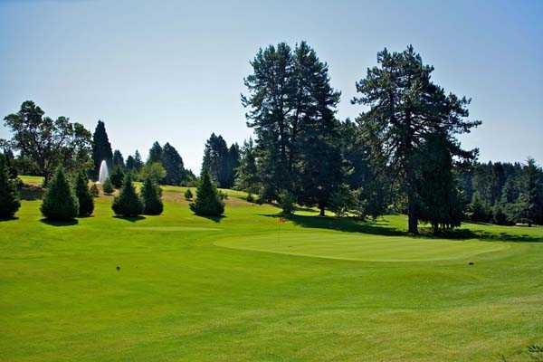 Jackson Park Golf Course - photo 5
