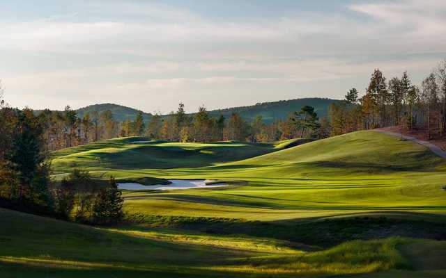 The Robert Trent Jones Golf Trail at Silver Lakes - photo 4