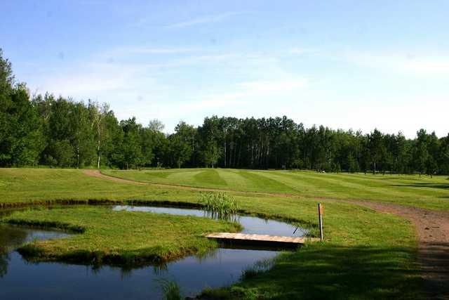 Twenty-Nine Pines Golf Course - photo 2