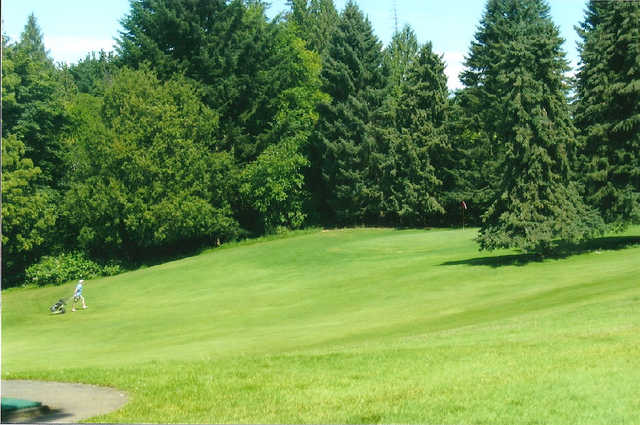 Pine Crest Golf Course - photo 3