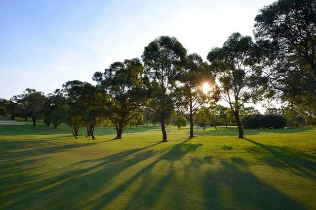 North Ryde Golf Club