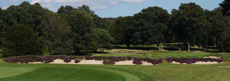 Stoneham Golf Club - photo 8