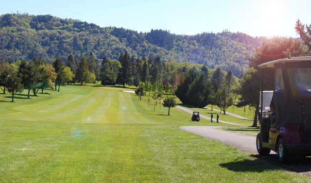 Stewart Park Municipal Golf Course - photo 3