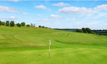 Lullingstone Park Golf Course - photo 4