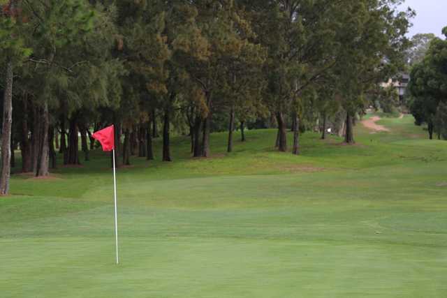 Warringah Golf Club - photo 2