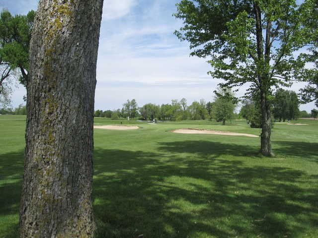 Hickory Hills - photo 6