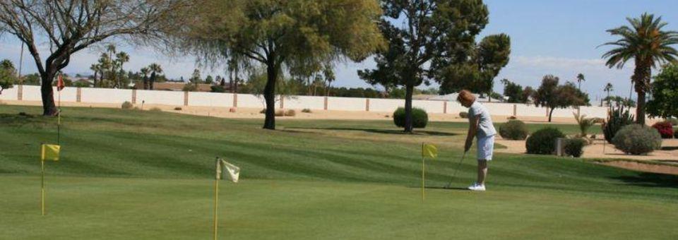 Sun City Quail Run Golf Course - photo 5