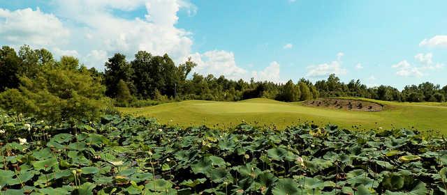 Forest Hill Golf Course - photo 2