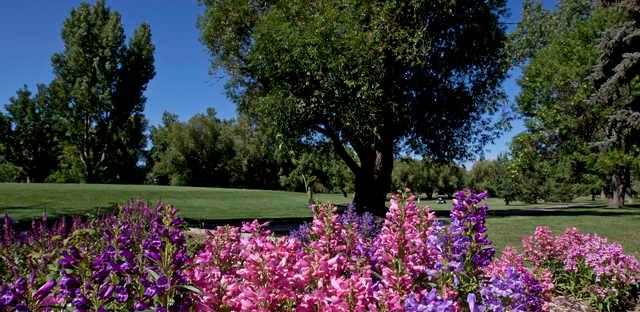 Meadow Hills Golf Course - photo 4