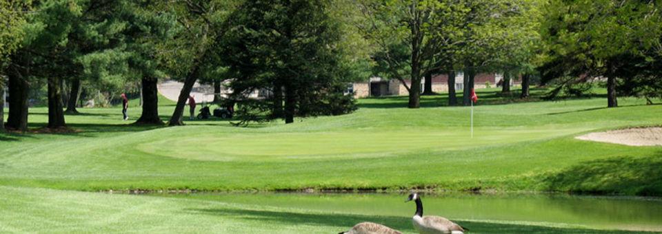 Little Apple Golf Course - photo 4