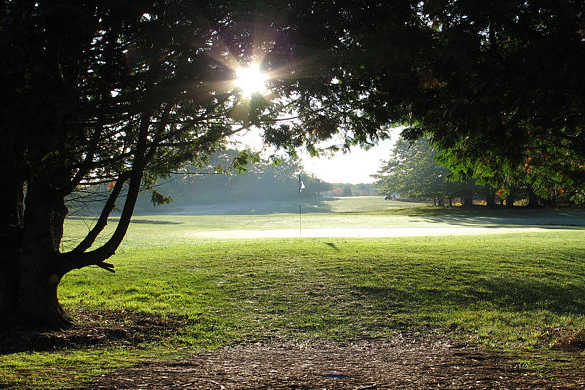 Beaver Island Golf Course - photo 2