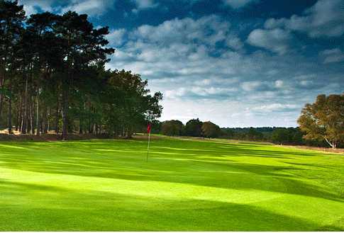 Blackmoor Golf Club - photo 4