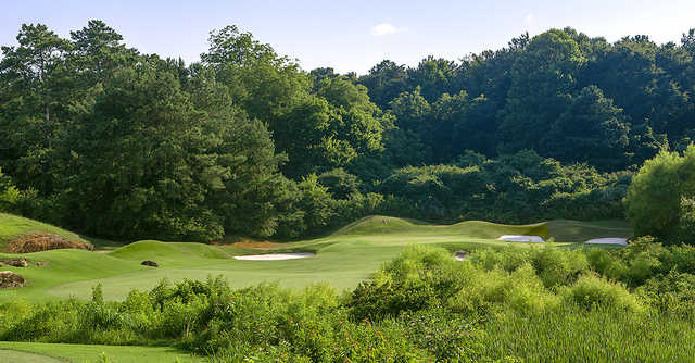 Cobblestone Golf Course - photo 3