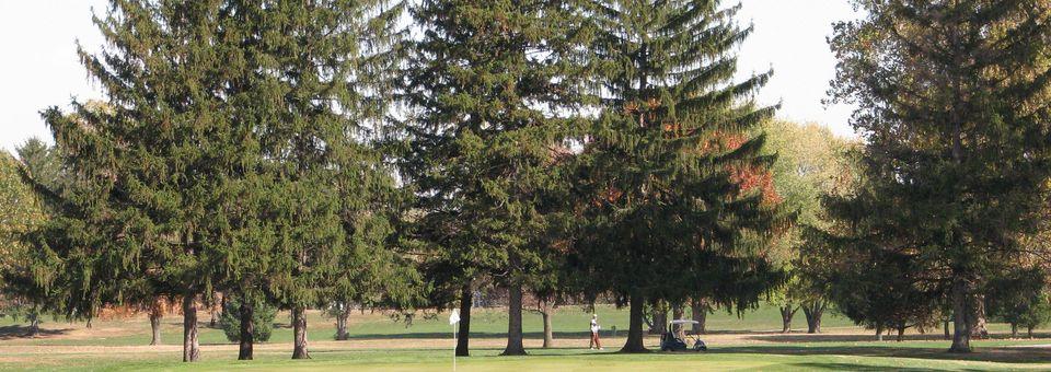 South Grove Golf Course - photo 3