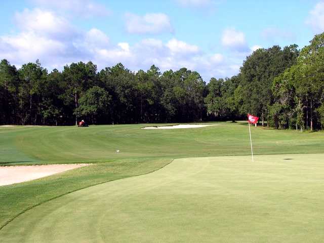 Okefenokee Golf Club - photo 3