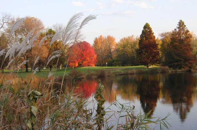 Winnetka Golf Club - Executive