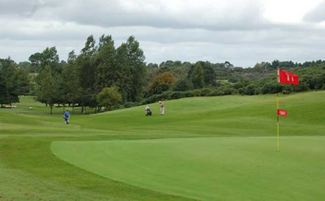 The Curragh - photo 4