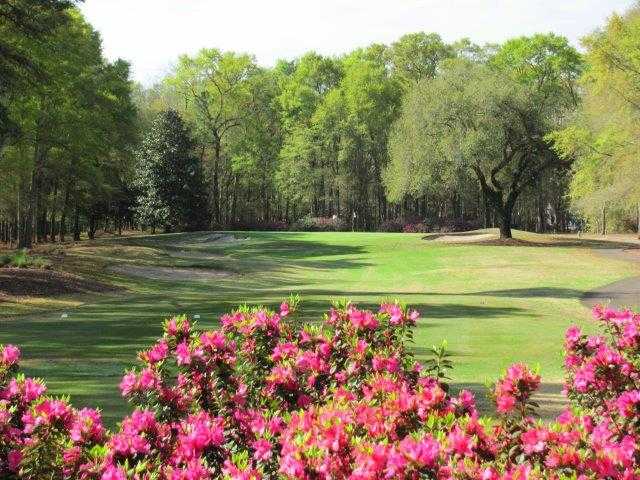 Wachesaw Plantation Club - photo 2