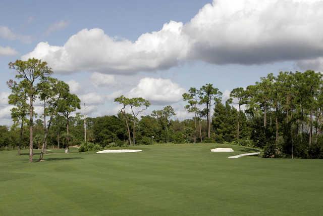 Sandhill Crane Golf Course - photo 2