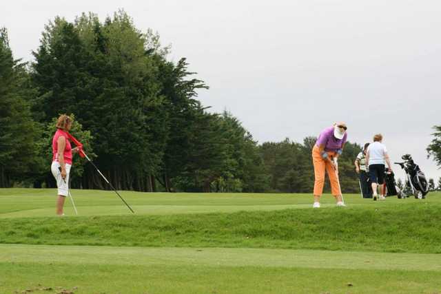 Ennis Golf Club - photo 3