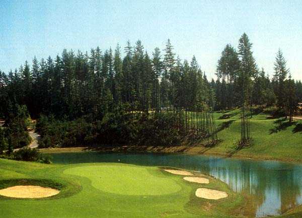 Gold Mountain Golf Club - Cascade Course - photo 3