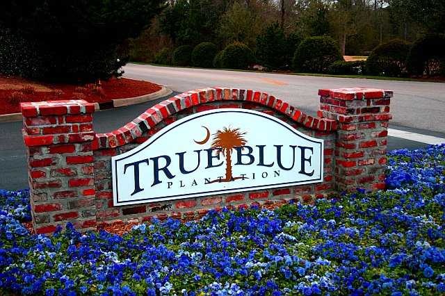 True Blue Plantation - photo 4