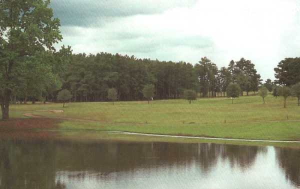 Wood Hollow Golf
