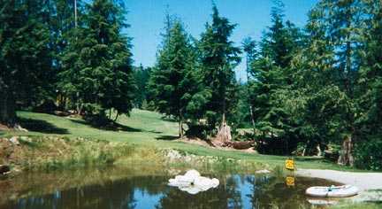 Langdale Golf - photo 2