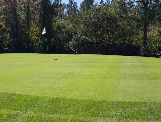 The Oaks Golf Club - photo 2