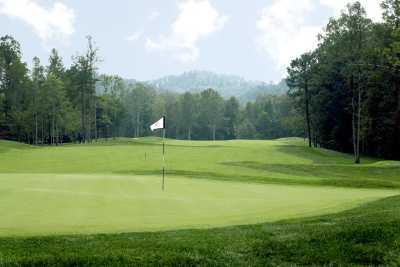 Grayson Lake Golf Course (Hidden Cove) - photo 4