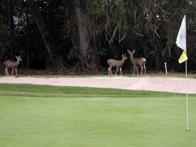 Marshallia Ranch - photo 2