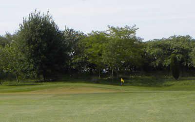 High Legh Park Golf Club - photo 8