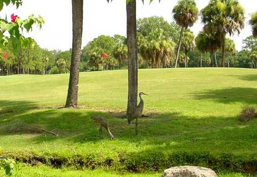 Turtle Creek Golf Club - photo 5