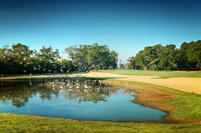 Bulls Bay Golf Club - photo 3