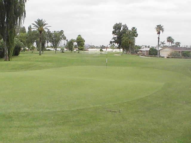 Sunland Village Golf Club - photo 5