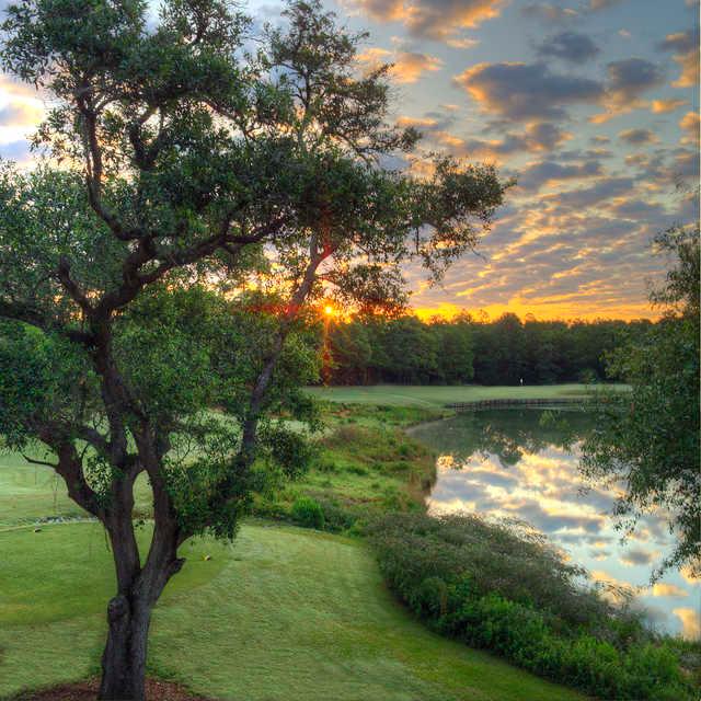The Oaks Golf Club - photo 3