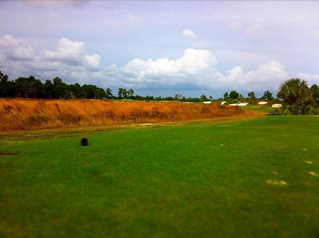Dye Course - photo 2