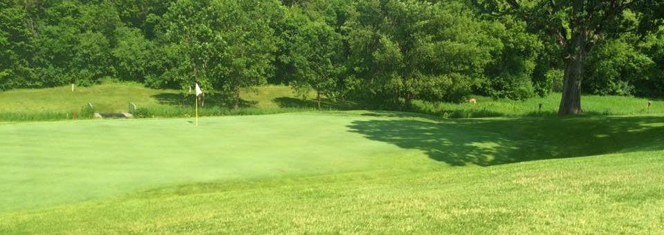 Eagle Creek Golf Club (MN) - photo 5