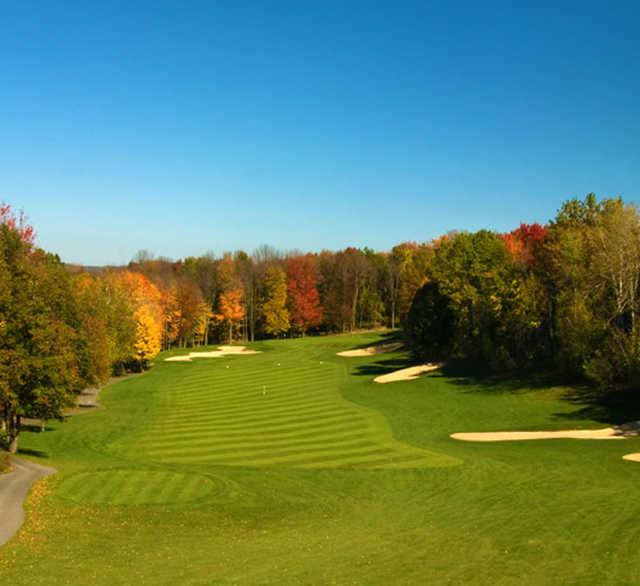 Black Bear Golf Club - photo 4