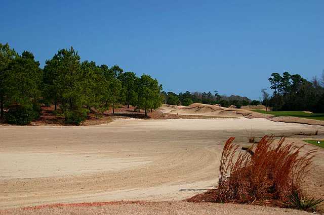 True Blue Plantation - photo 6