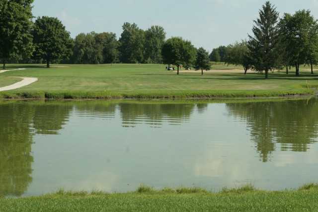 Turtle Run - photo 5