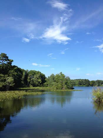 Lake Wright