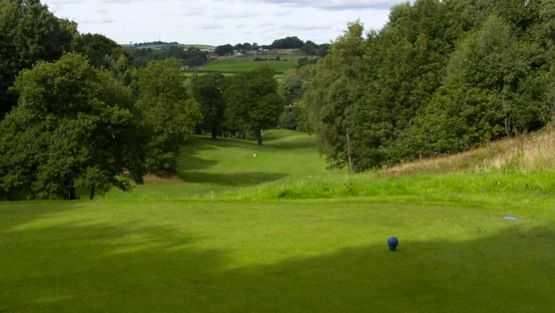 Beamish Park Golf Club - photo 4