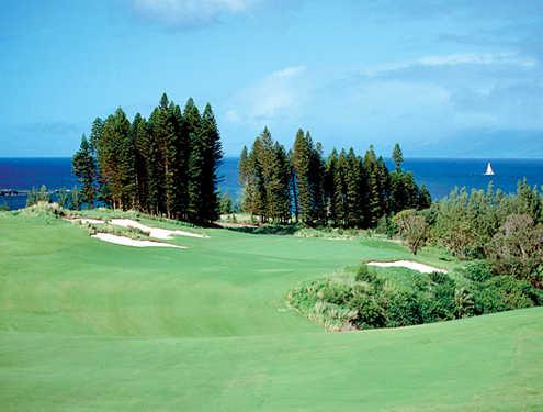 Kapalua Golf Club - Plantation Course - photo 4