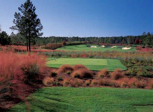 Berkeley Hall Golf Club - South Course - photo 3