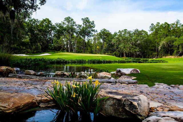 The Concession Golf Club - photo 2