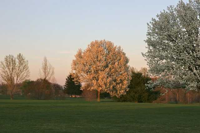 Springdale Golf Club